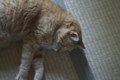 20110619204237