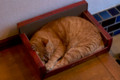 20110626185528