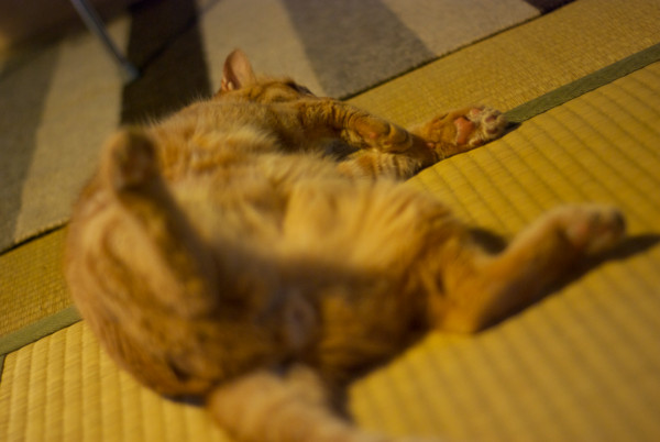 f:id:moriyu:20110717163929j:image
