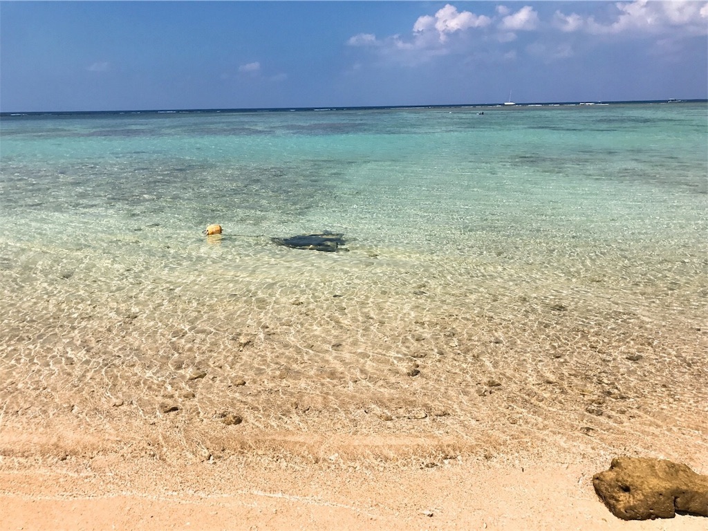 f:id:morizo_3377:20180725173020j:plain f:id:morizo_3377:20180725173020j:plain