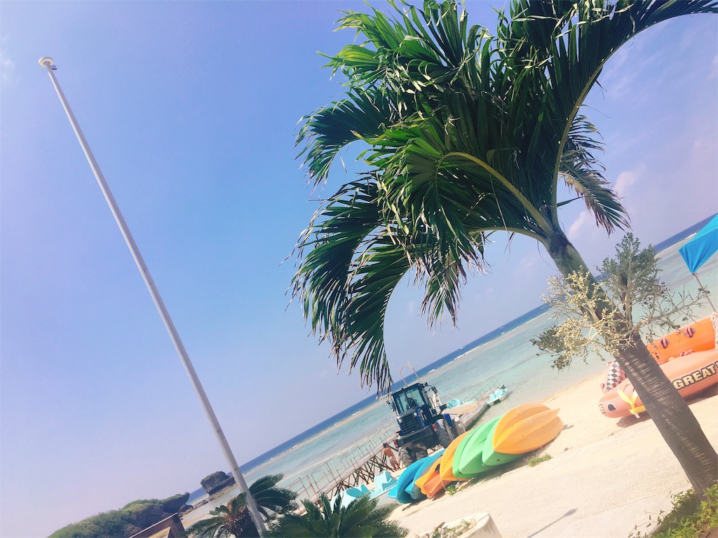 f:id:morizo_3377:20180725173139j:plain f:id:morizo_3377:20180725173139j:plain