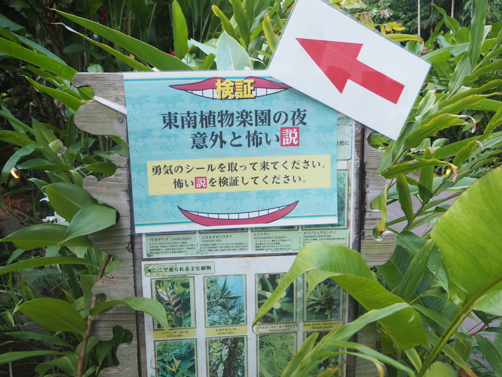 f:id:morizo_3377:20180829184808j:plain f:id:morizo_3377:20180829184808j:plain