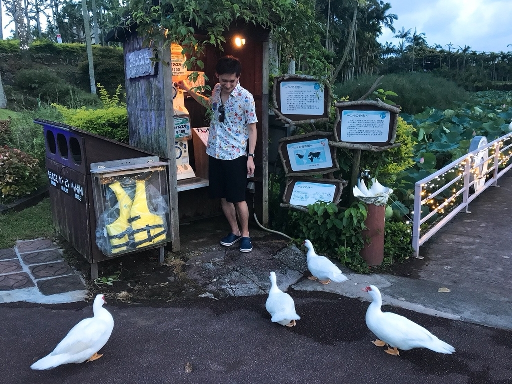 f:id:morizo_3377:20180829185126j:plain f:id:morizo_3377:20180829185126j:plain