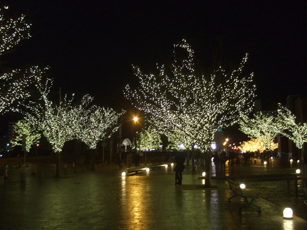 f:id:morje:20130122114940j:image f:id:morje:20130122114940j:image