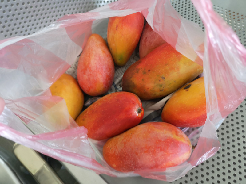 f:id:morje:20190624114556j:plain f:id:morje:20190624114556j:plain