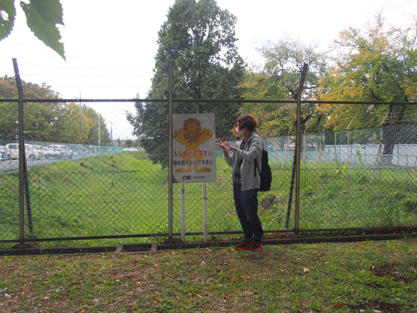 f:id:morje68:20161102143920j:plain f:id:morje68:20161102143920j:plain