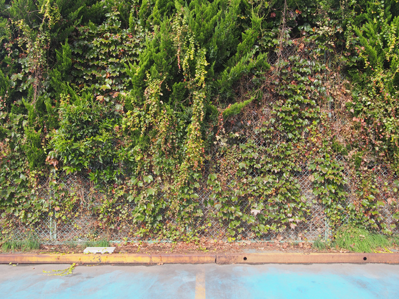 f:id:morje68:20161102151345j:plain f:id:morje68:20161102151345j:plain