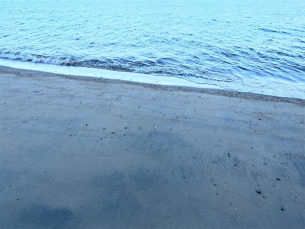 f:id:morksntr:20221025075136j:image f:id:morksntr:20221025075136j:image