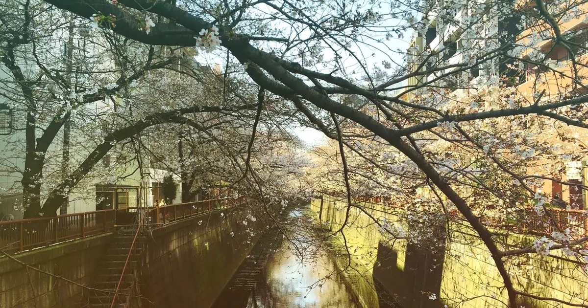 f:id:morning-sneeze:20201217215443j:plain