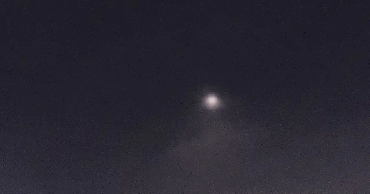 f:id:morning-sneeze:20201219100352j:plain