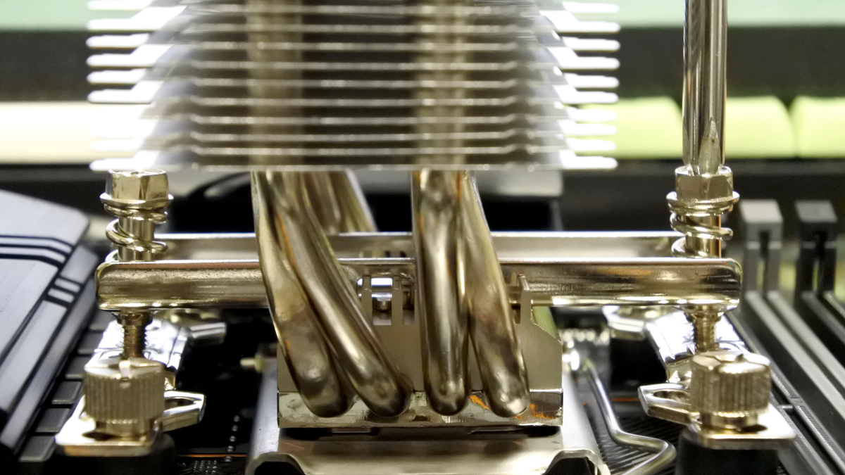 強く締める必要はない。