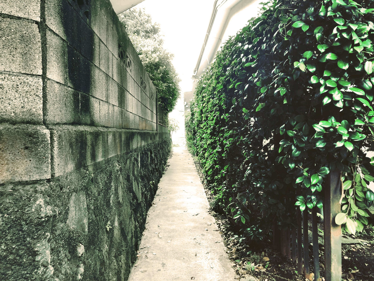 f:id:morning-sneeze:20210714200412j:plain