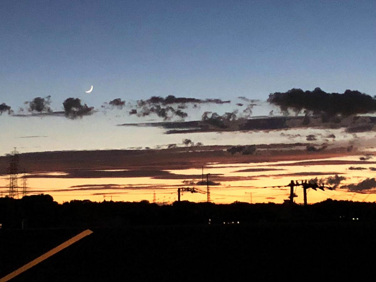 f:id:morning-sneeze:20210811000841j:plain