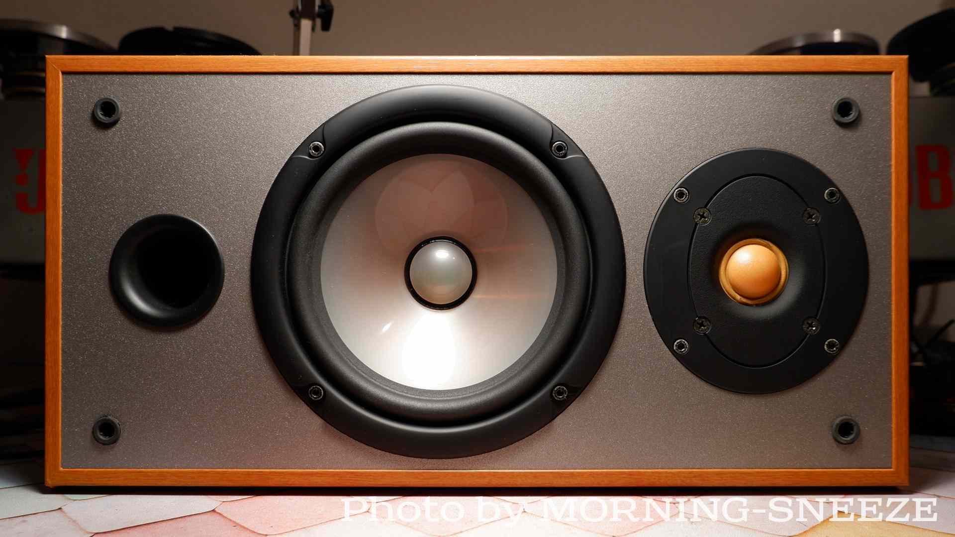 YAMAHA NS-100 をメンテナンスする - いつか消える文章 YAMAHA NS-100 をメンテナンスする - いつか消える文章