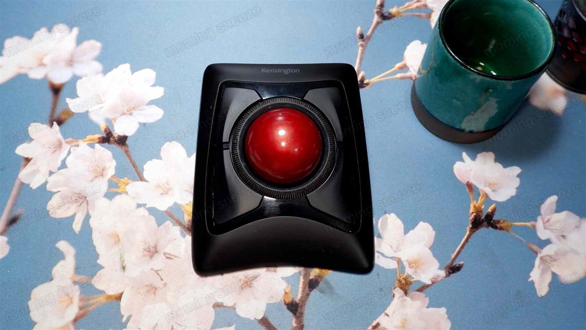 トラックボールのマイクロスイッチを交換する - いつか消える文章