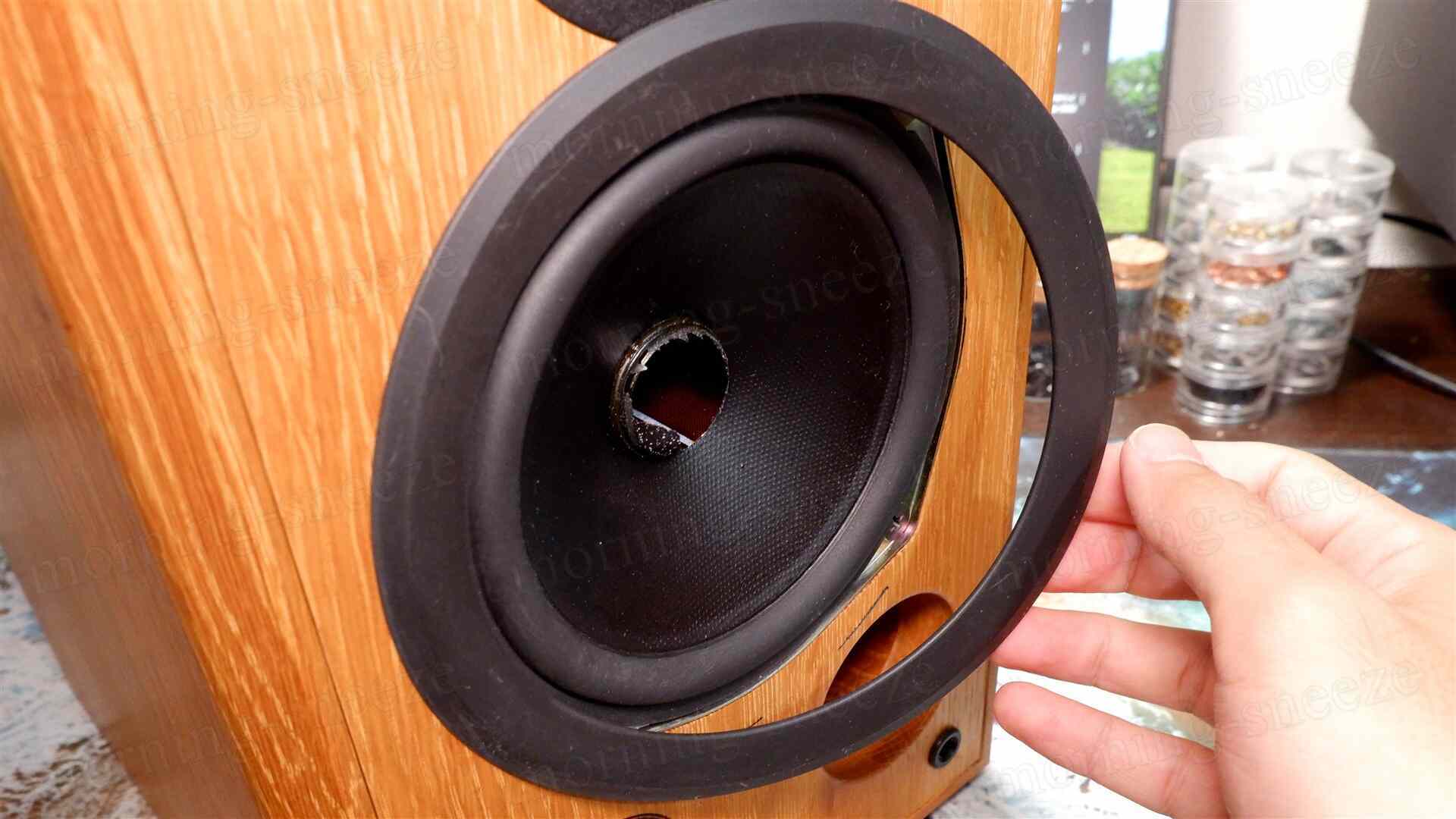 Pioneer S-PM1000-LR をメンテナンスする - いつか消える文章