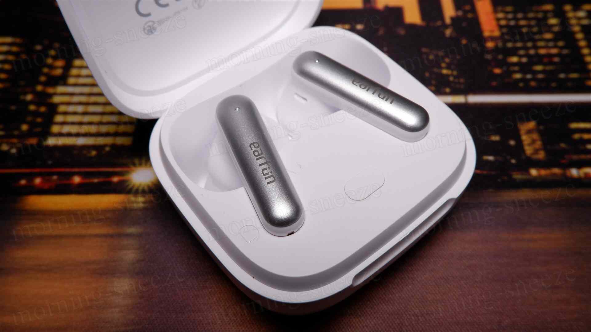 白い充電ケースの中に収められた銀色のワイヤレスイヤホンが2つ並んでいる画像。ケースは開いており、中央には操作ボタンも見える。