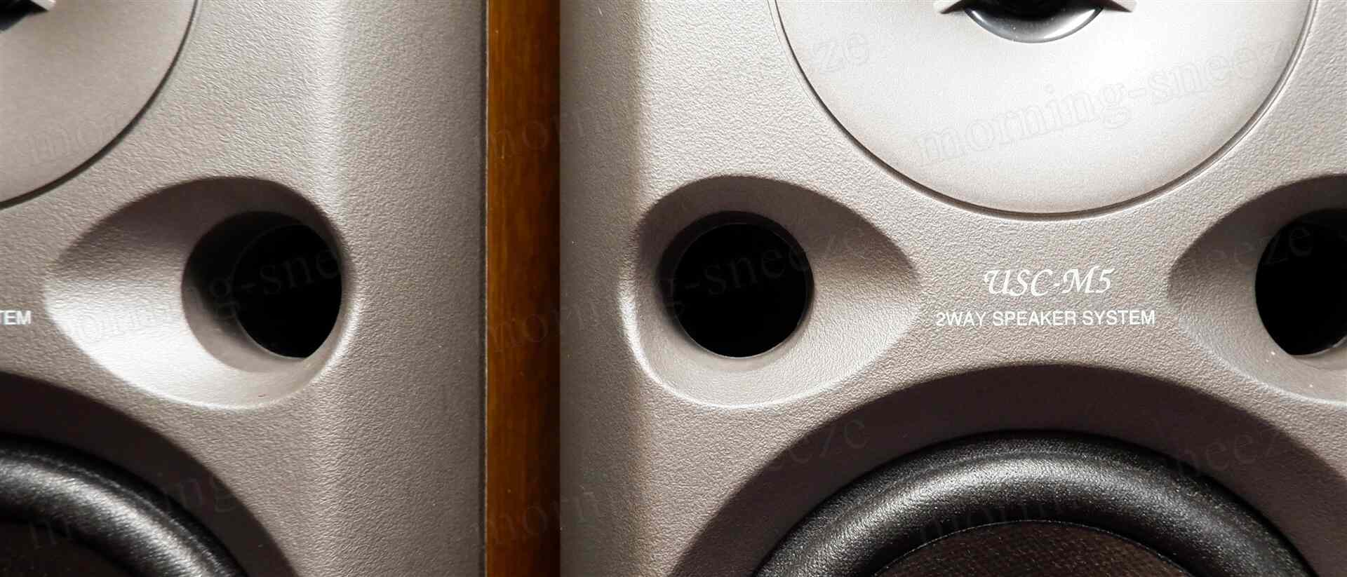 DENON USC-M5 を鳴らしてみる - いつか消える文章
