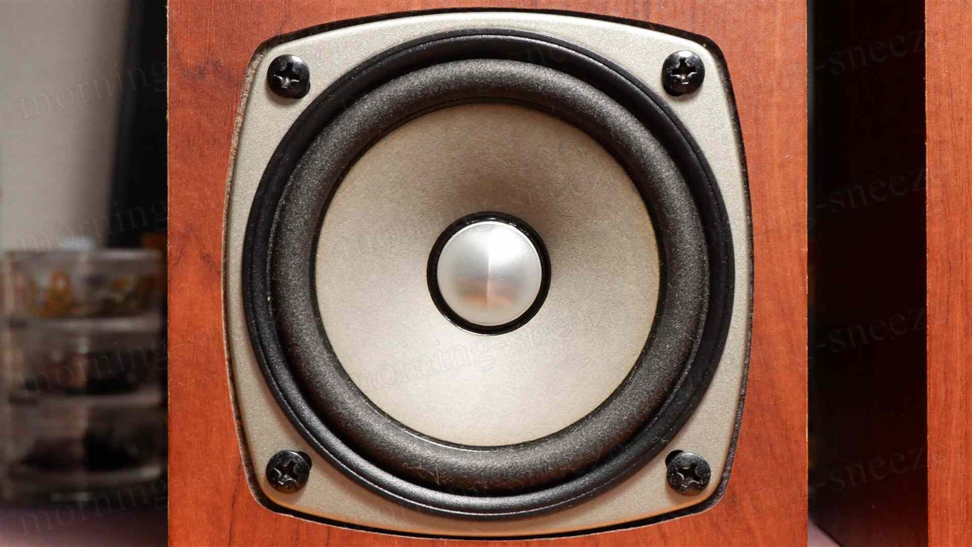 Fostex P802-S をチューンアップする - いつか消える文章