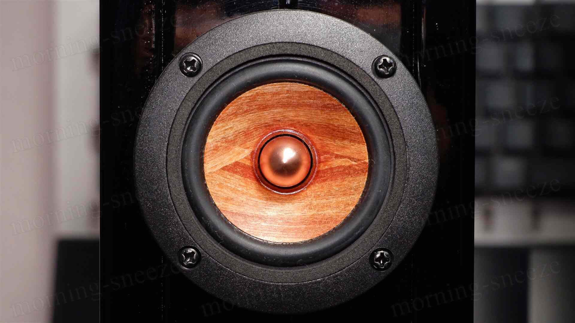 Hasehiro Audio UMU-121SSR を鳴らしてみる - いつか消える文章