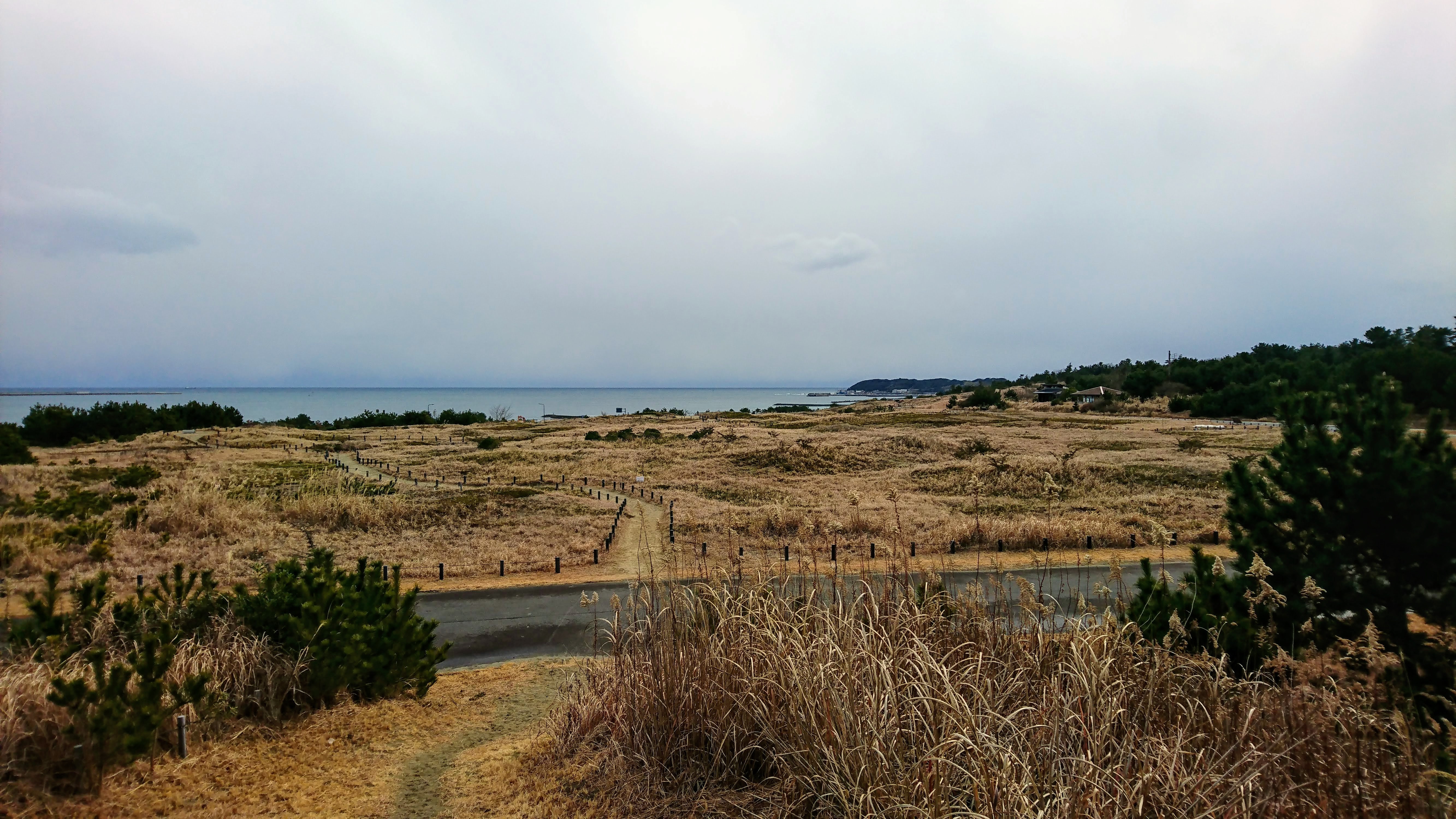 f:id:morning-view18:20190209141116j:image