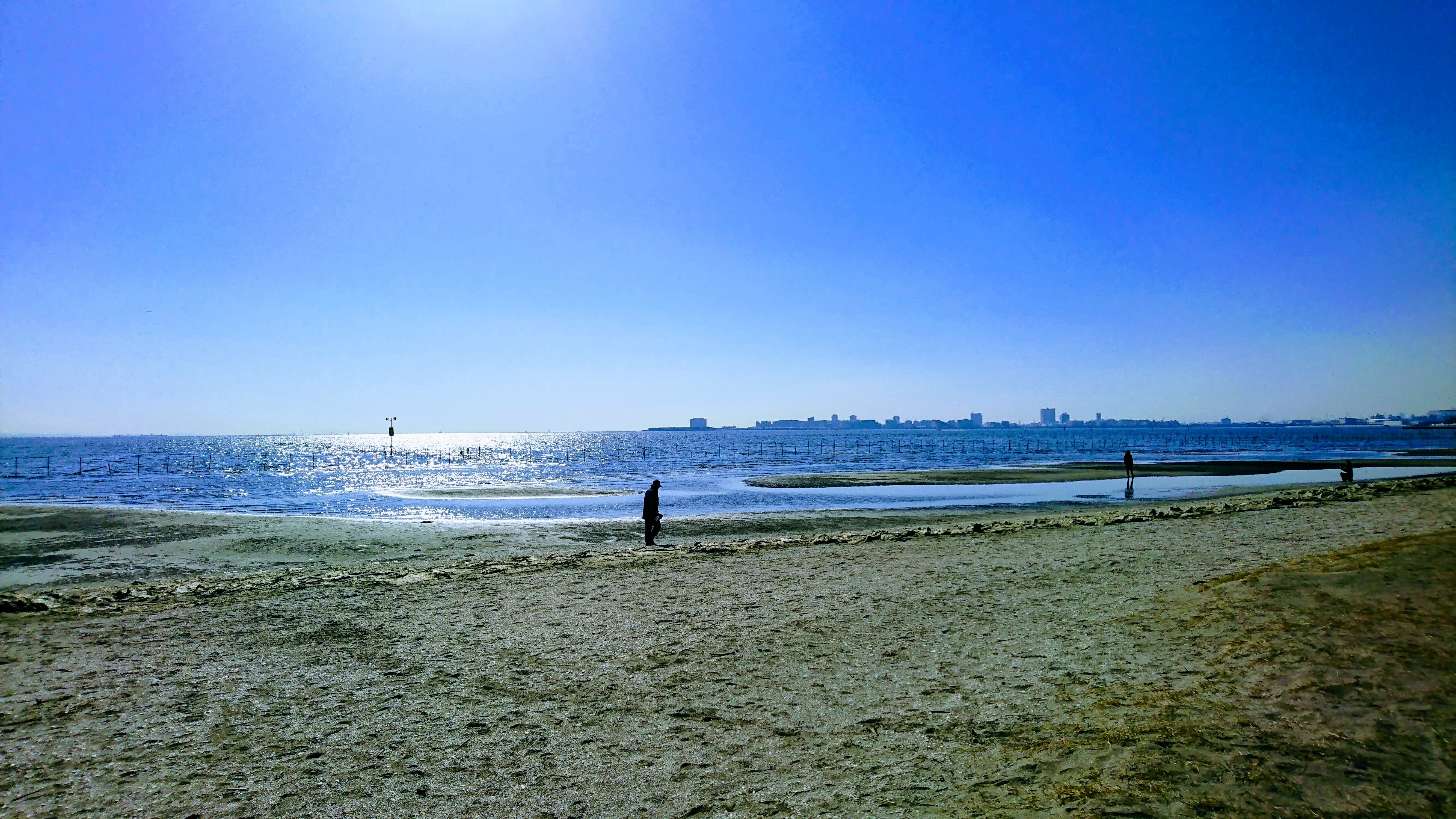 f:id:morning-view18:20190209144109j:image