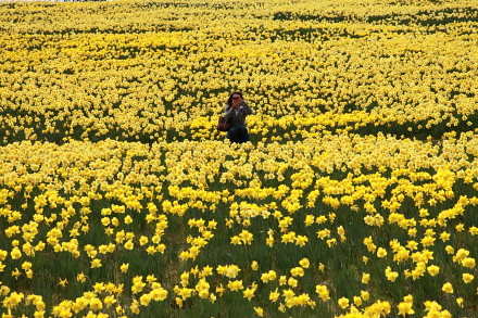 画像を等倍で表示します 画像