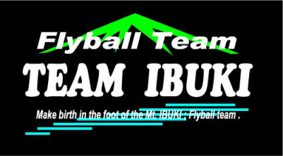 TEAM IBUKI