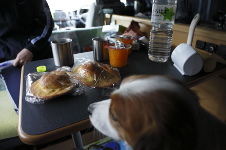 画像を等倍で表示します 画像