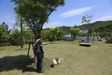 画像を等倍で表示します 画像