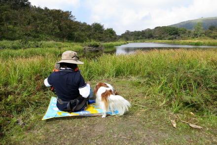 画像を等倍で表示します 画像