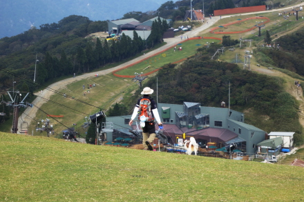 画像を等倍で表示します 画像