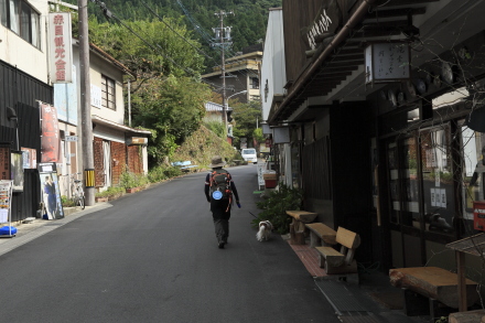 画像を等倍で表示します 画像