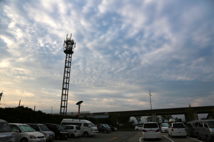 画像を等倍で表示します 画像
