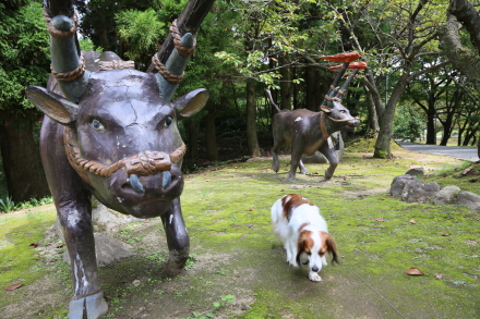 画像を等倍で表示します 画像