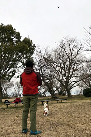 画像を等倍で表示します 画像