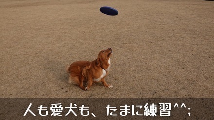 2022Jan27-ディスう練習.jpg
