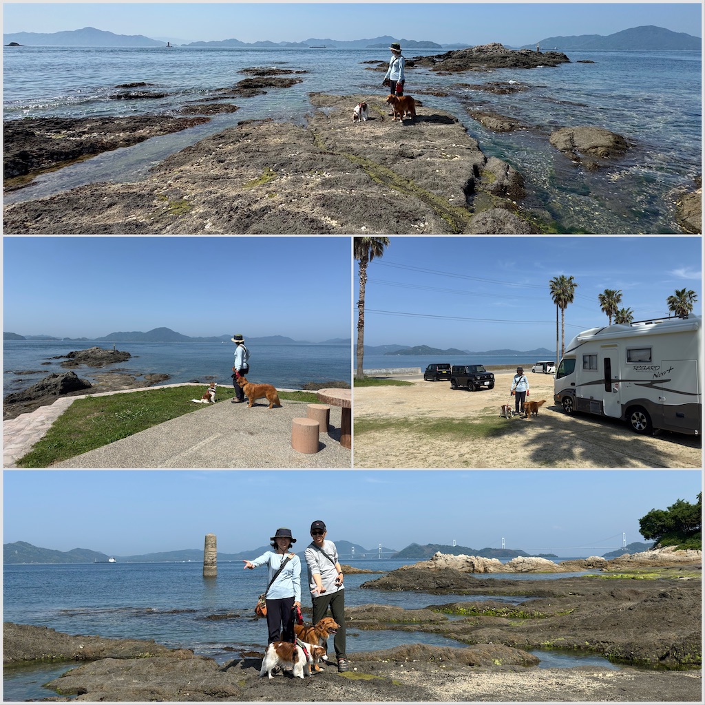 f:id:morningbuzz:20251025101623j:image f:id:morningbuzz:20251025101623j:image