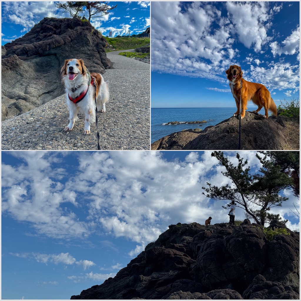 f:id:morningbuzz:20251029114243j:image