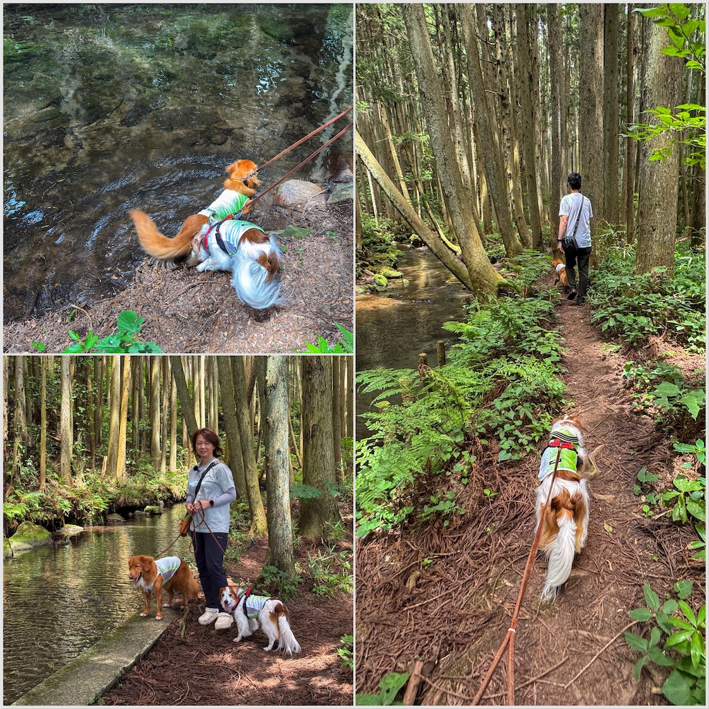 f:id:morningbuzz:20251029114520j:image