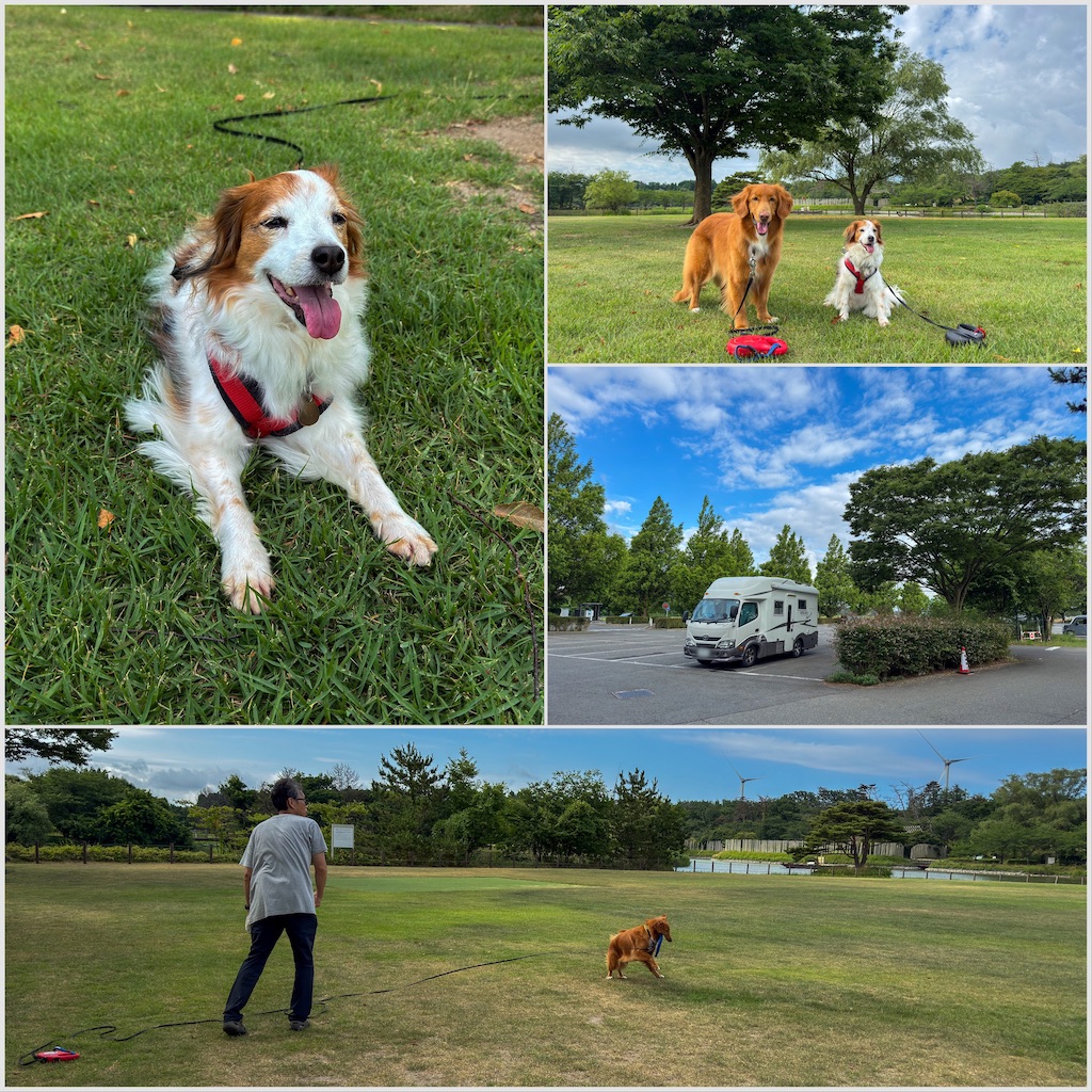 f:id:morningbuzz:20251029114606j:image