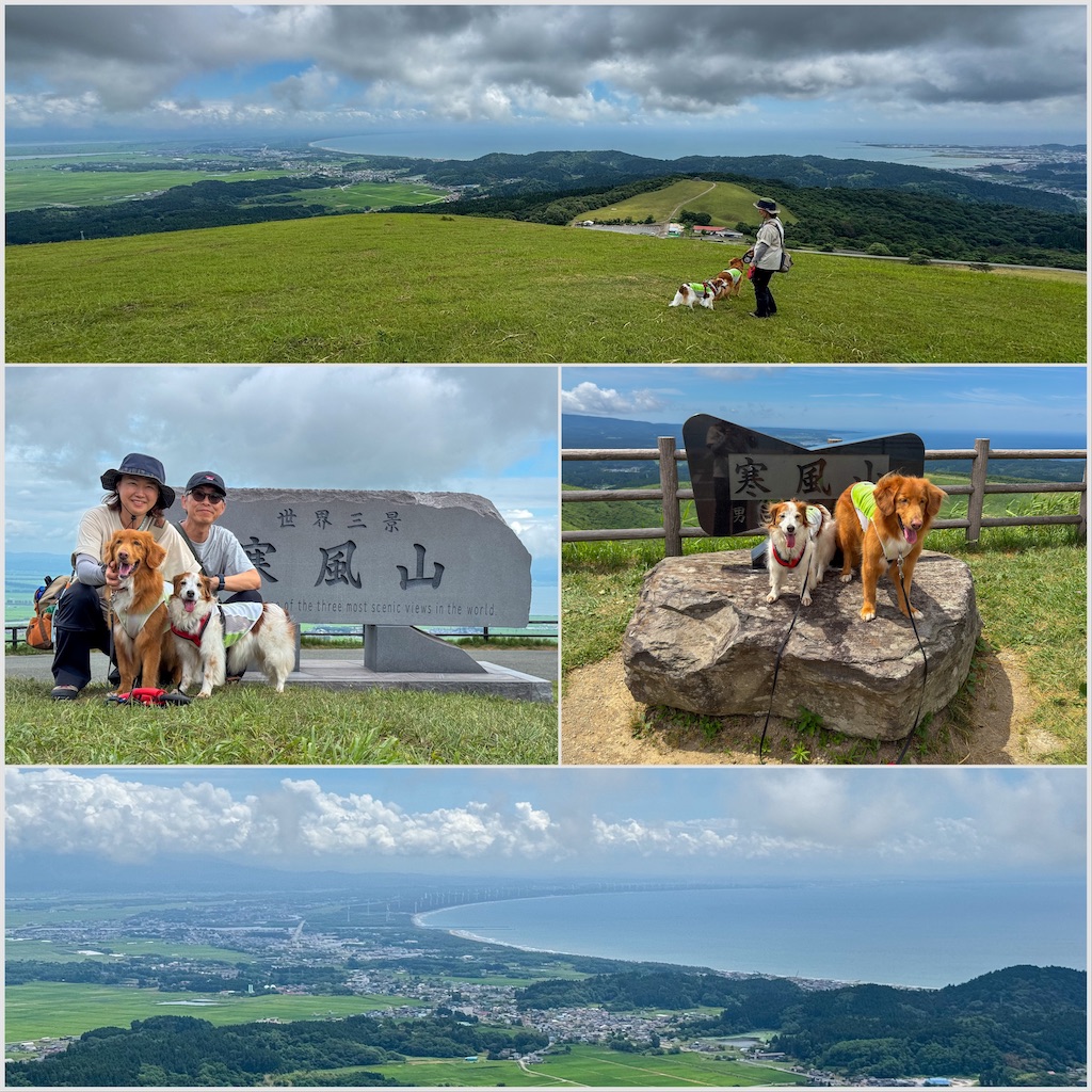 f:id:morningbuzz:20251029114656j:image