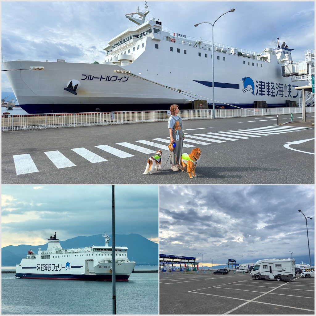 f:id:morningbuzz:20251112222852j:image