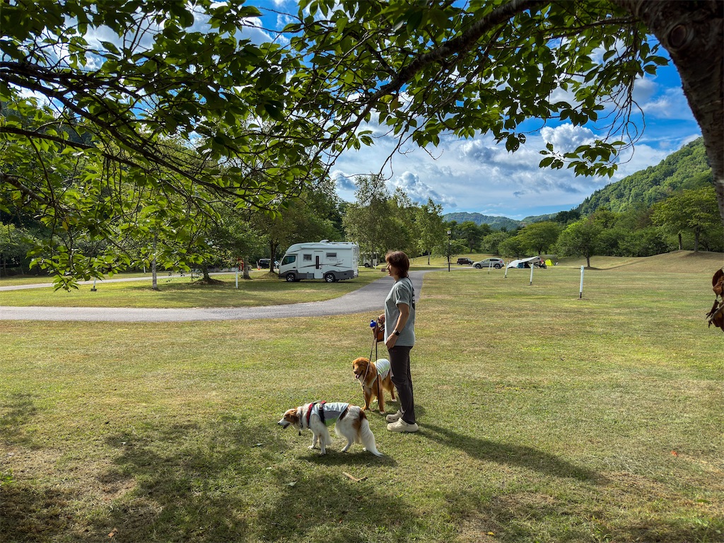 f:id:morningbuzz:20251123110558j:image