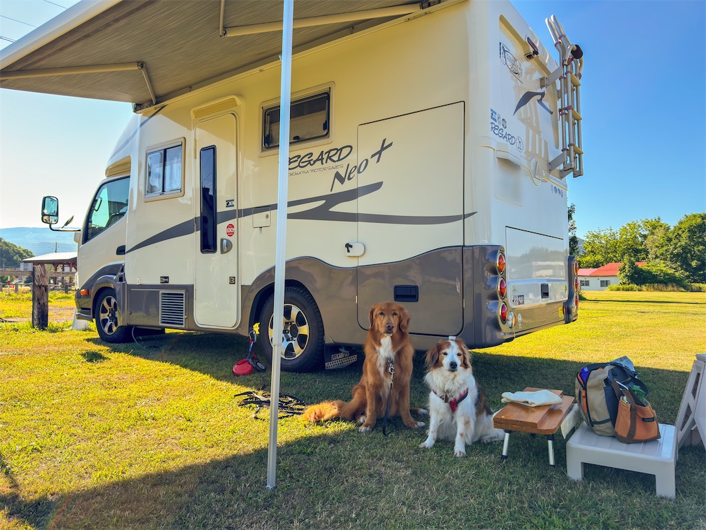 f:id:morningbuzz:20251123110812j:image