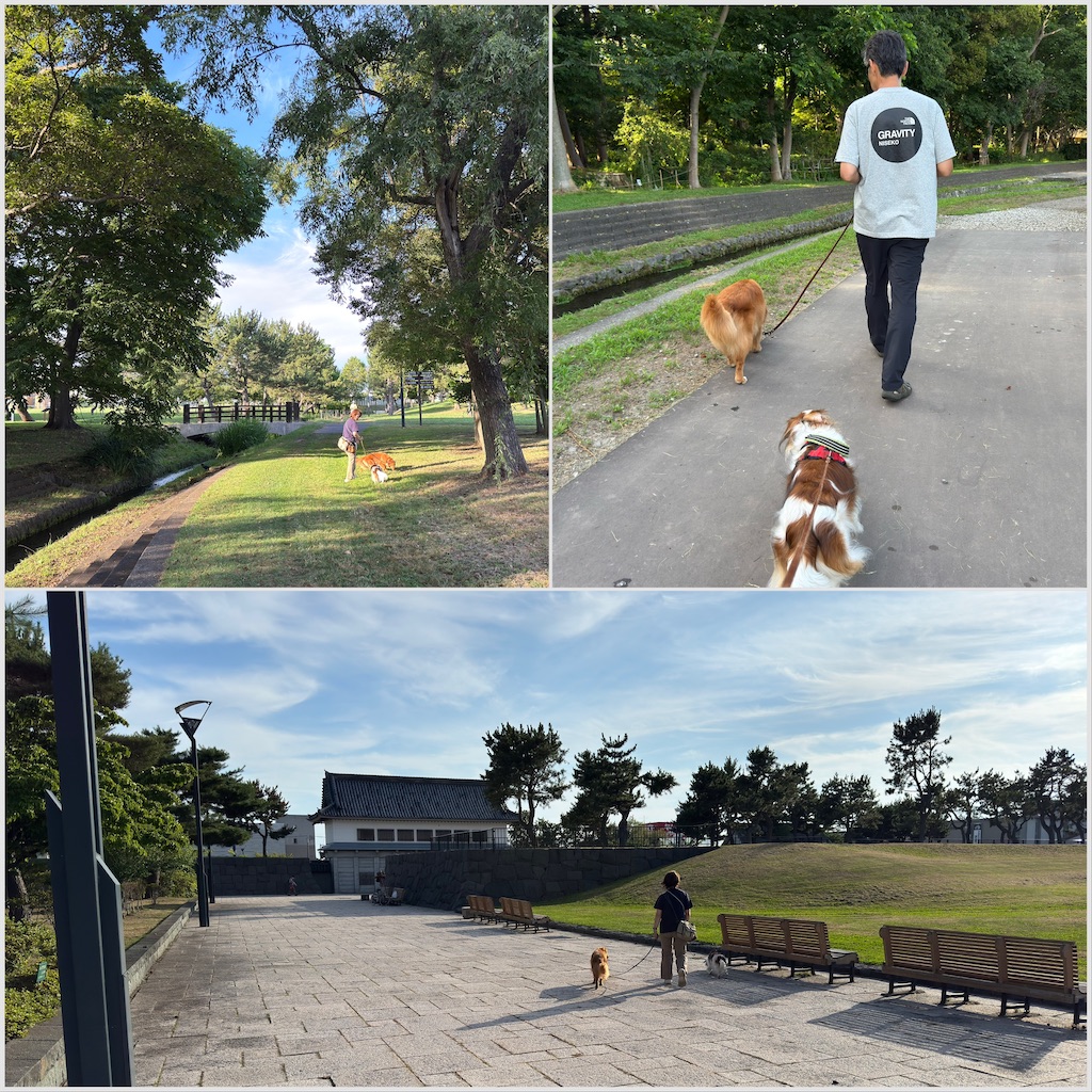 f:id:morningbuzz:20251123111048j:image