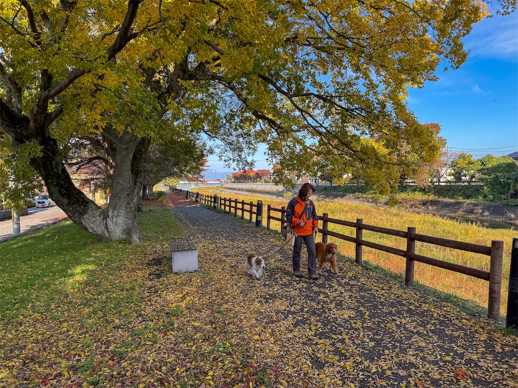 f:id:morningbuzz:20251213205438j:image f:id:morningbuzz:20251213205438j:image