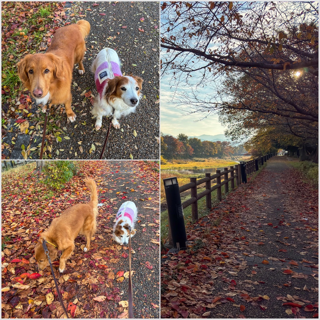 f:id:morningbuzz:20251213205618j:image f:id:morningbuzz:20251213205618j:image