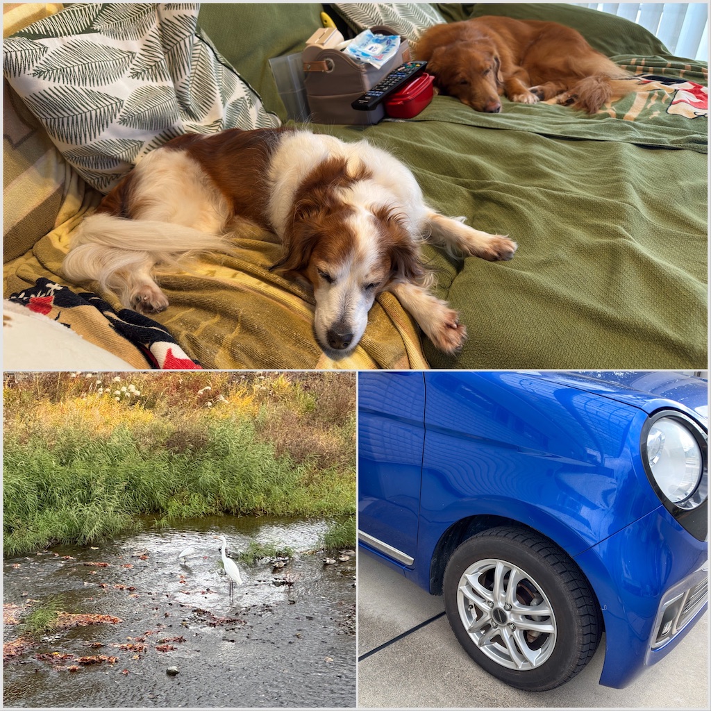 f:id:morningbuzz:20251213205947j:image f:id:morningbuzz:20251213205947j:image