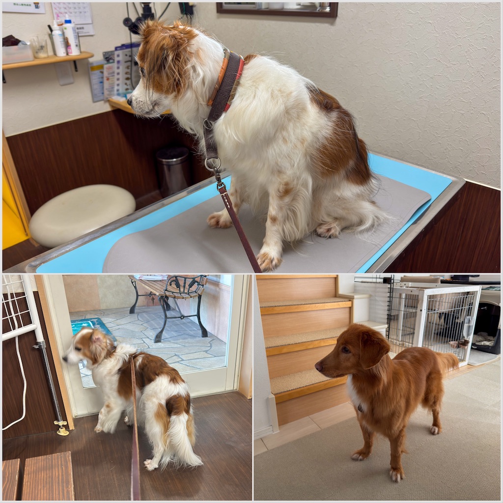 f:id:morningbuzz:20251213210117j:image f:id:morningbuzz:20251213210117j:image